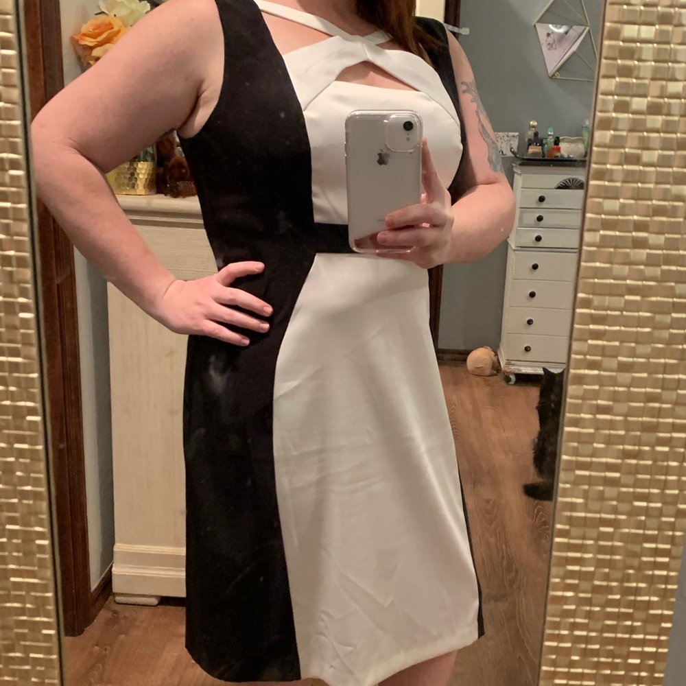 Zip Back Dress